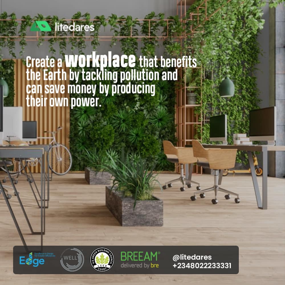 Why Green Office Is The Future Of Business